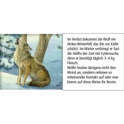 * Advent Decorations & Calendars|Advent Calendar "Animals In The Winter Forest"