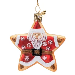 Poesie in Glas Glass Tree Decorations|Cookie Star Santa
